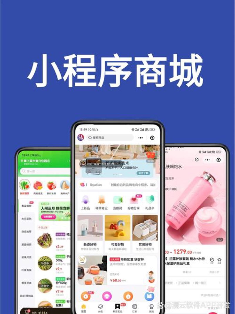 小程序开发：打造高效便捷的数字化体验